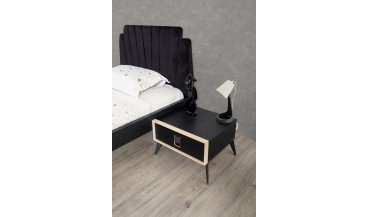 Lotus Genç Odası Takımı 